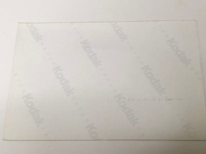 ジーコ　現役時代　アントラーズ生写真