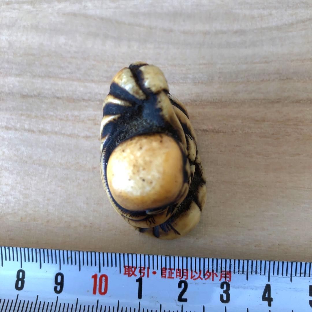 江戸時代　鯨歯　根付け