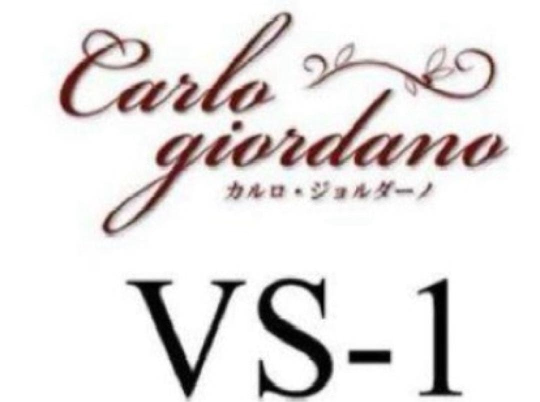 【もこもこもこ様】カルロ・ジョルダーノ VS-1 1/16 (ケース肩当て付き)