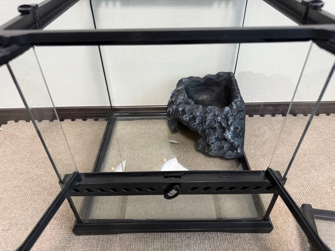 GEX EXO TERRA グラステラリウム3030 飼育セット①