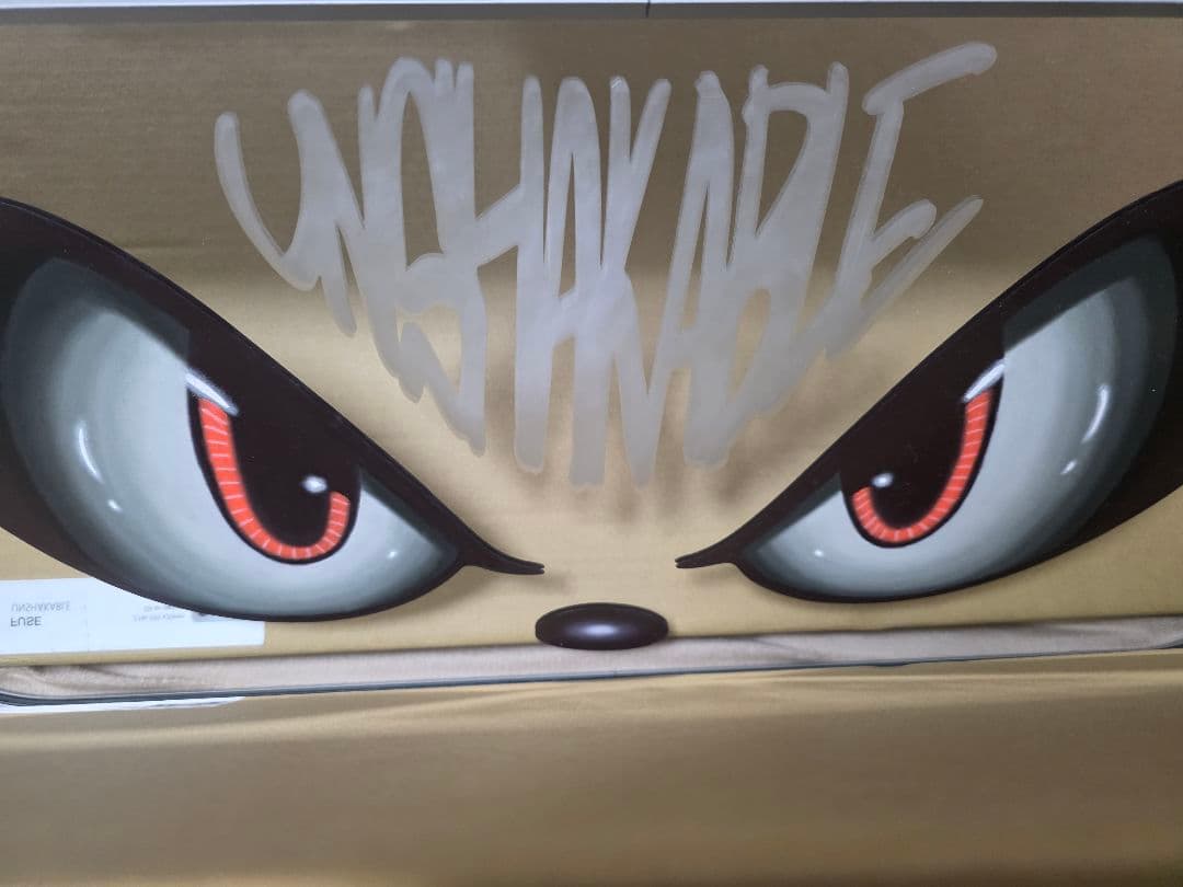 Fuse UNSHAKABLE kaws イデタツヒロ 矢入幸一等好きな方