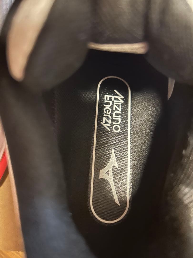 新品未使用！ミズノ WAVE FANG 2 23.5cm バドミントンシューズ