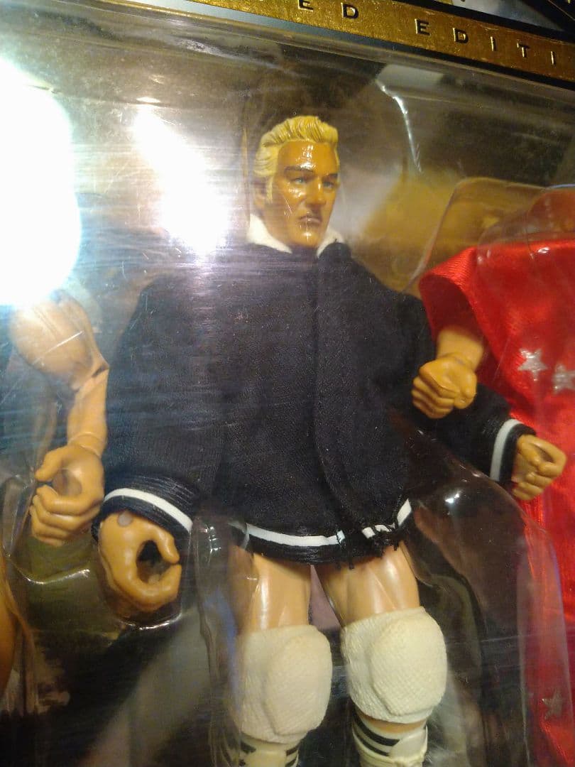 開封品　貴重！WWE クラシック限定版！全日　テリー・ゴディ&マイケル・ヘイズ