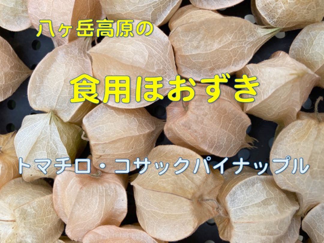専用出品です 食用ほおずきトマチロコサックパイナップル2kg 10/5日発送