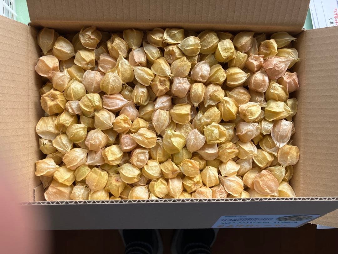 専用出品です 食用ほおずきトマチロコサックパイナップル2kg 10/5日発送