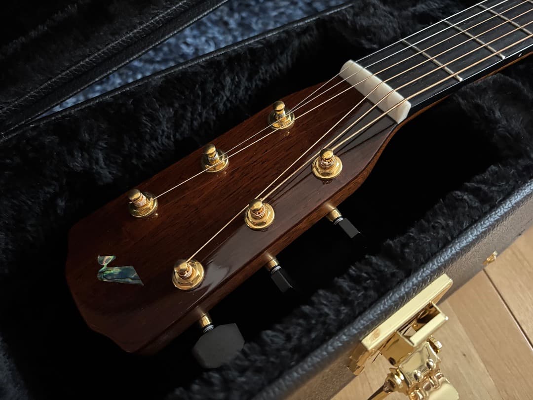 ギター M-104PDK MORRIS GUITARS