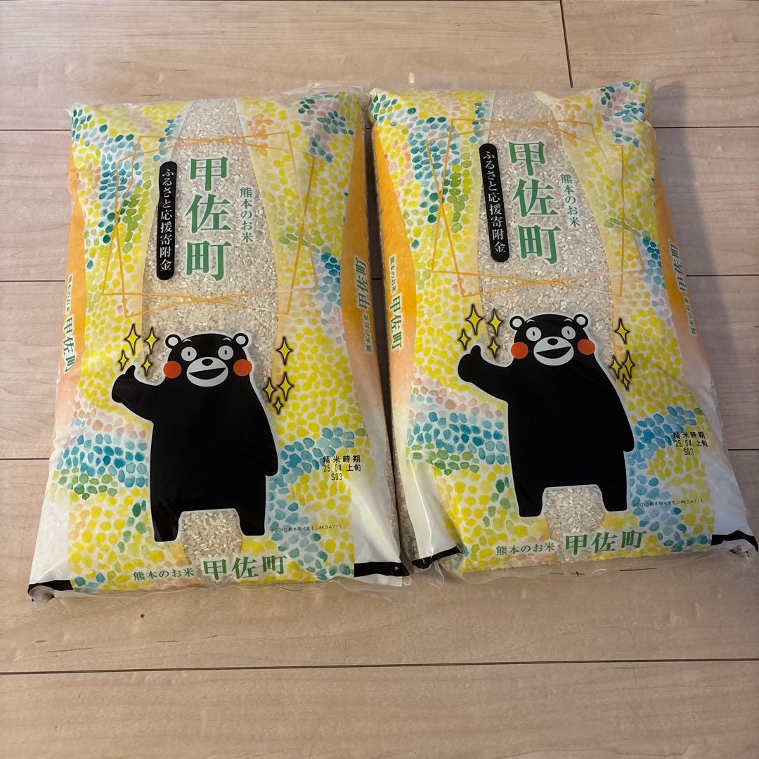 お米10キロ(5キロ×2袋) 甲佐町　熊本県産