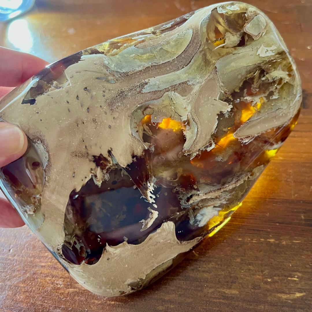 鑑別付 琥珀 原石 標本 巨大 タイガー アンバー レア 希少 鑑賞石