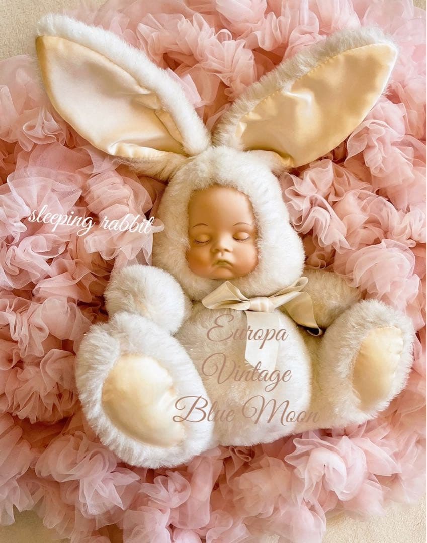 ♕EuropaVintage✴︎sleeping rabbit♡