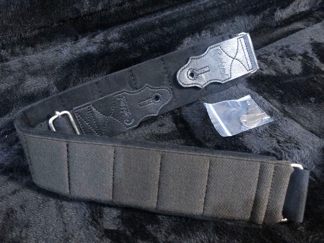 FUJIGEN フジゲン　NJB10MBAH-VNT ベースギター　ハードケース