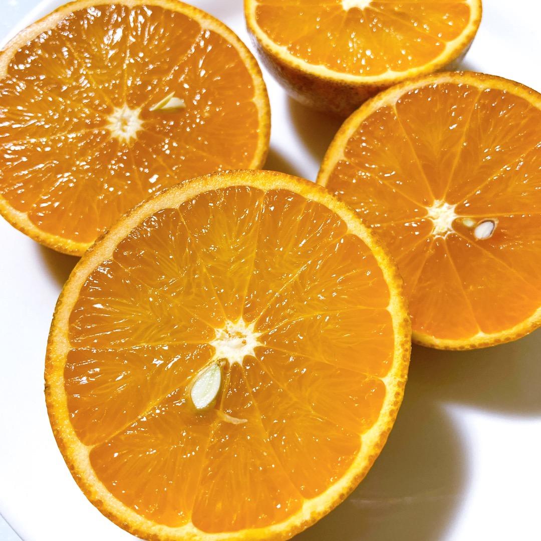 #3 世界自然遺産 奄美大島産 完熟たんかん 10キロ 特産品 加工用 柑橘 旬