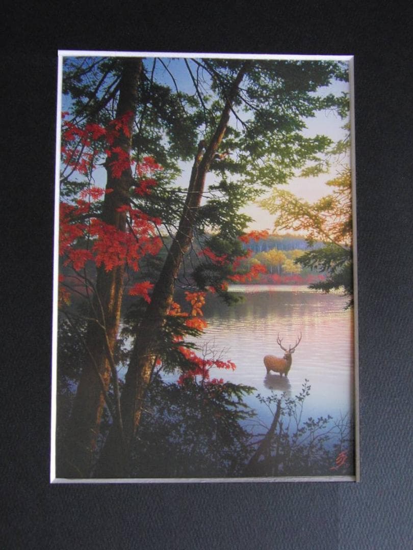 山地司、【鹿の住む森-3】、希少な額装用画集より、新品額装付、状態良好