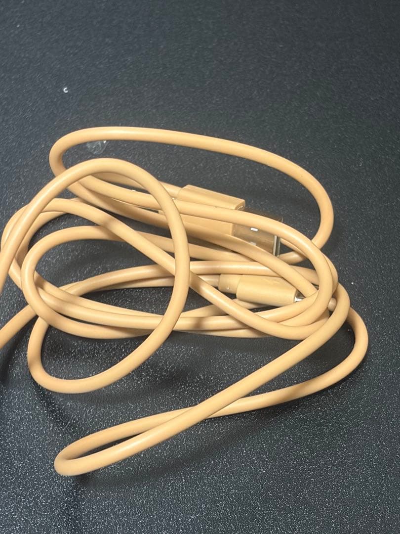 ポケモン マダツボミ LED ライト ポケモンセンター スタンドライト