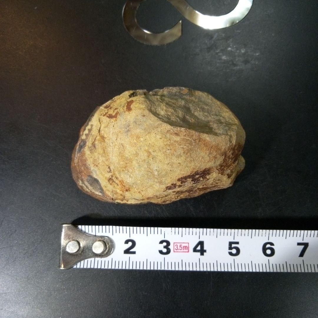 三葉虫　化石　fossil　ボリビア産　トライロバイト　Fossil番号④