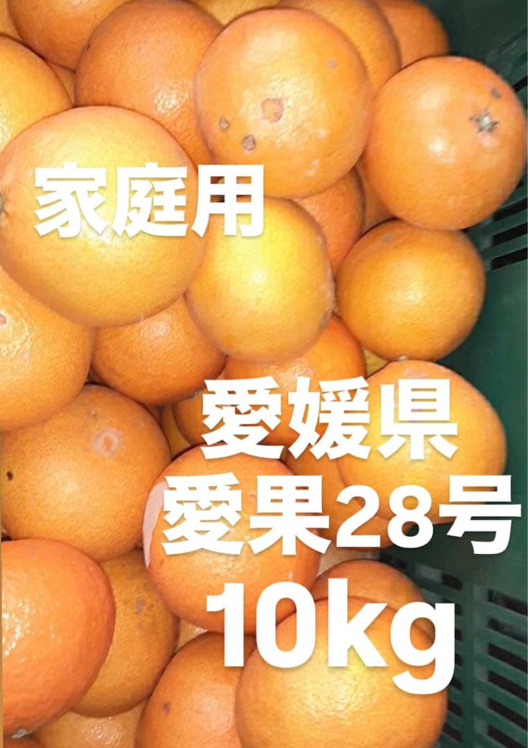 みー　愛媛県産　家庭用　愛果28号　柑橘　10kg