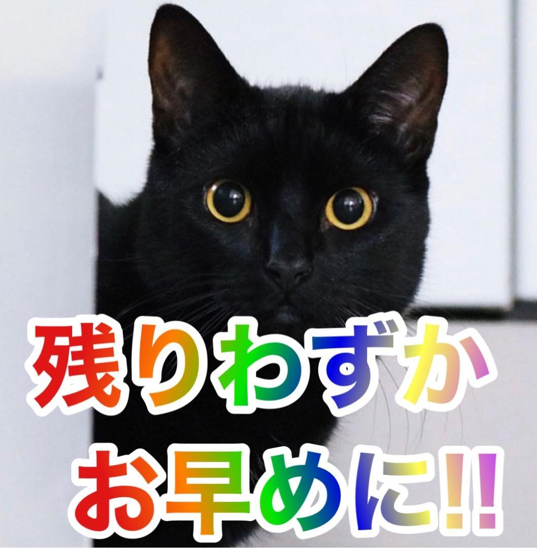 パチスロ実機　SG1優駿倶楽部2KB　不要機ボリューム調整付