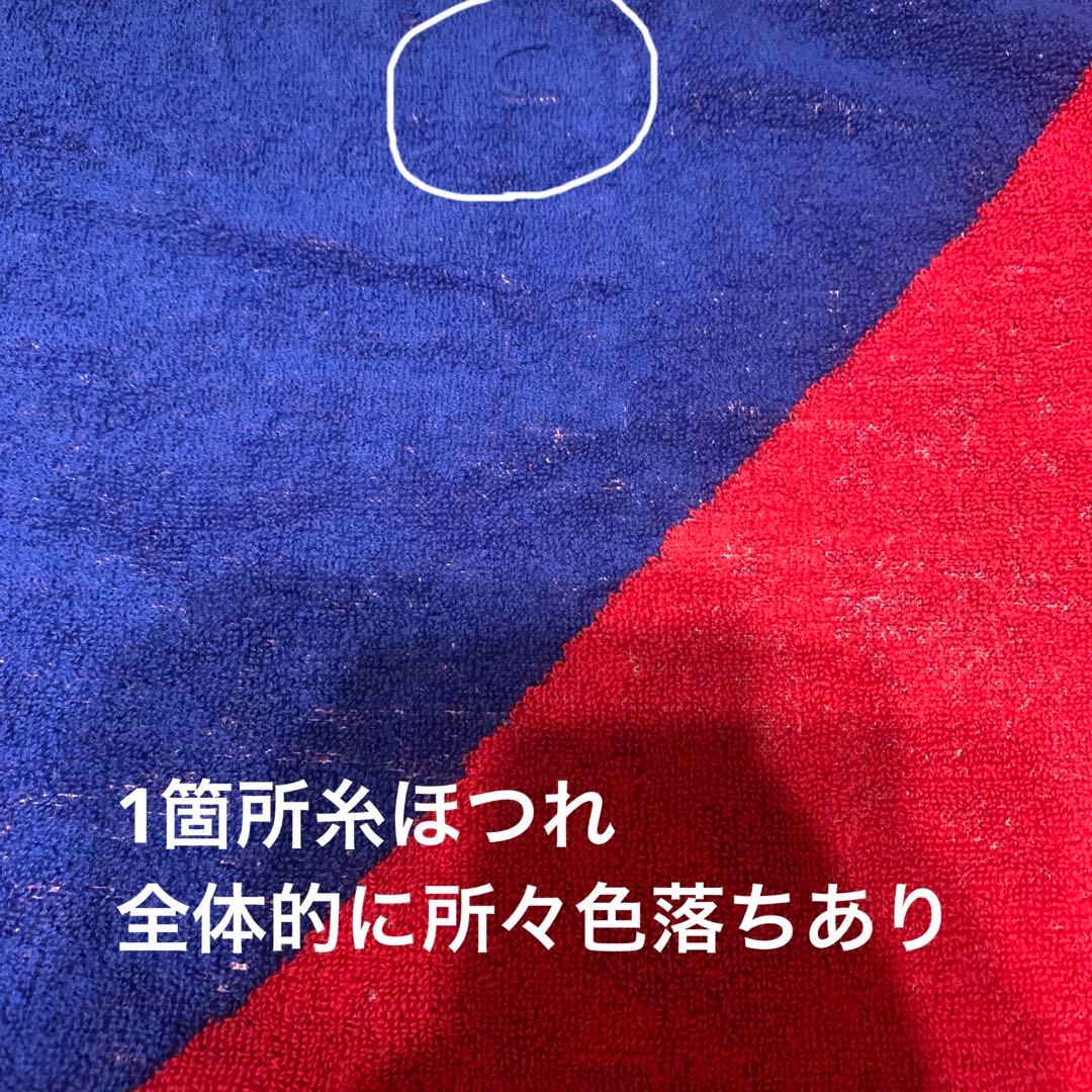 Aimer ライブ　グッズ　rouge de bleu タオル　Tシャツ　5点