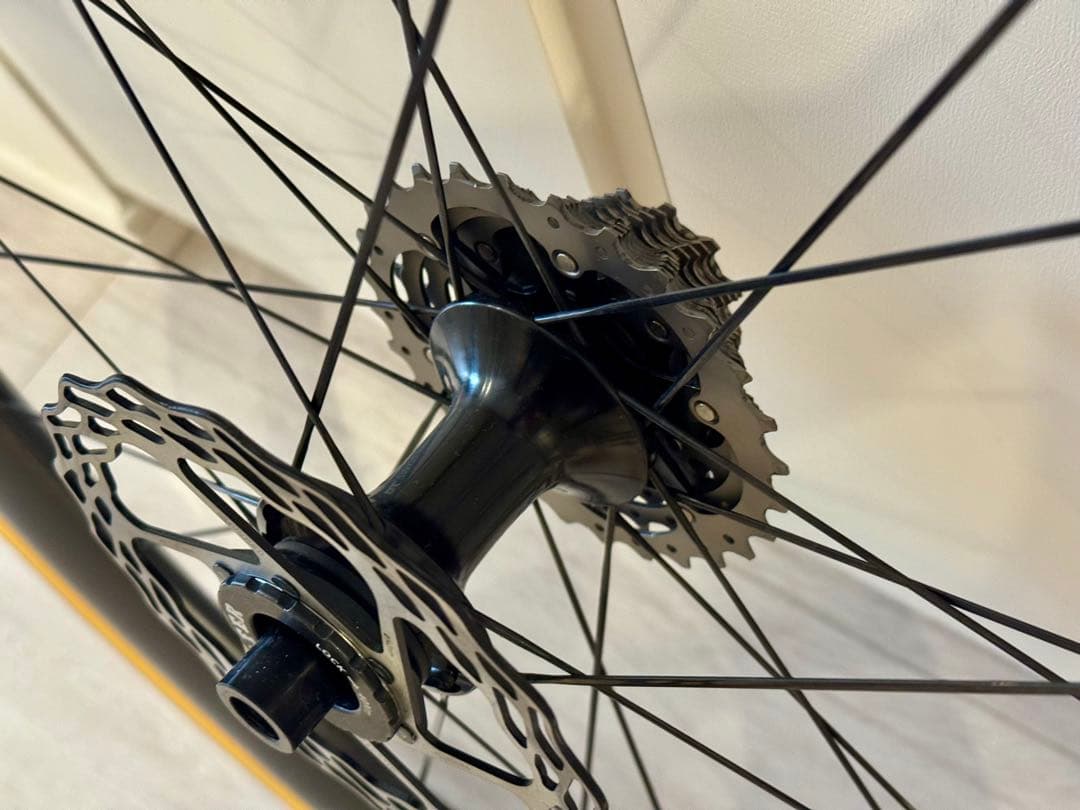 ROVAL RAPIDE CLX II ロヴァール ラピーデ リア単品