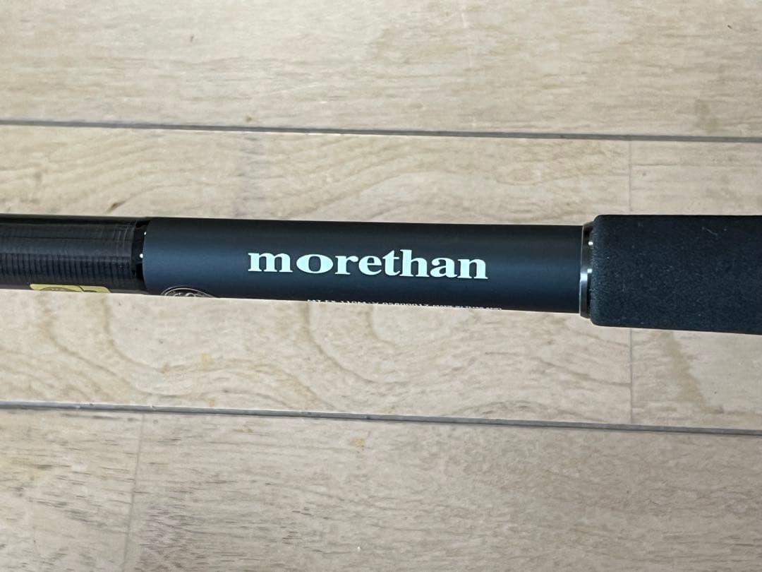 ダイワDAIWA モアザンmorethenエキスパート MT EX 110M-V