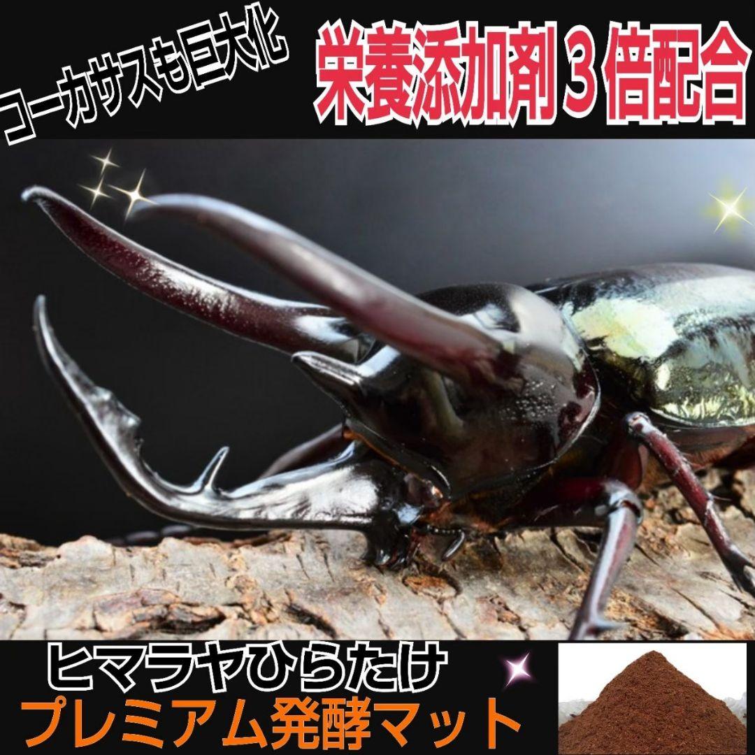 幼虫がビックになる！極上☆プレミアム発酵カブトムシマット【50L】産卵にも抜群！