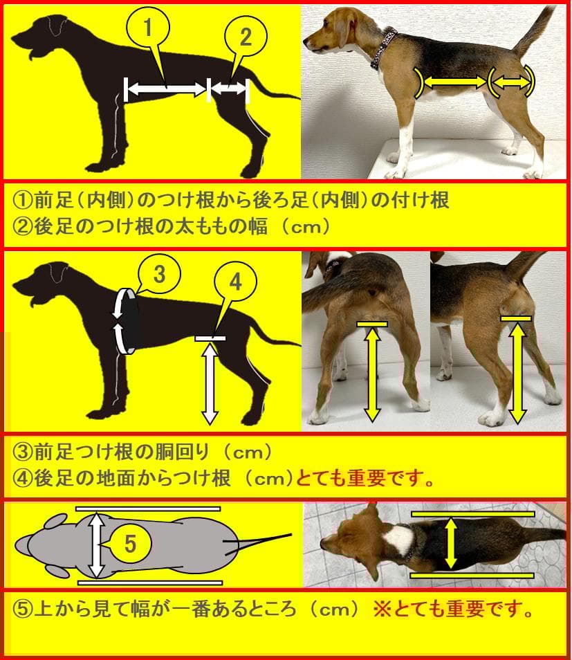 犬用車椅子、ミニュチアダックス用車椅子2輪車、犬の車椅子