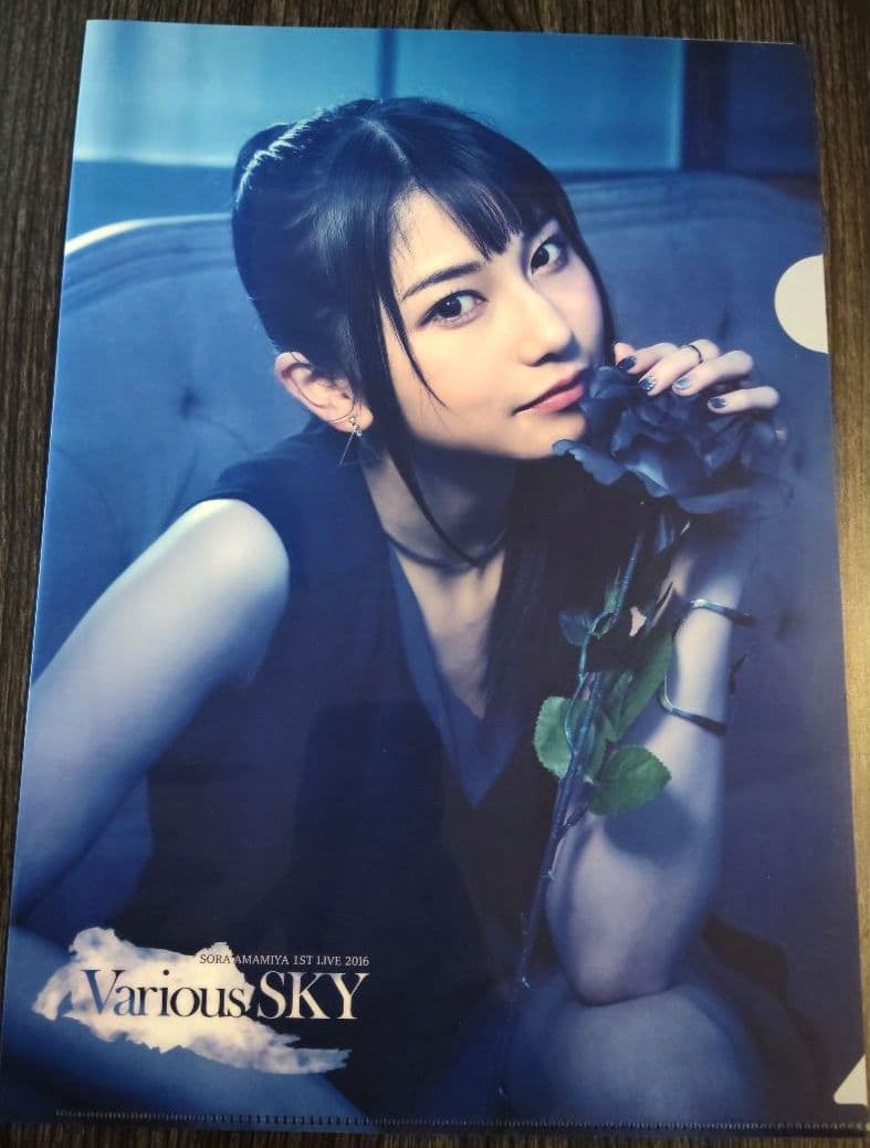 雨宮天 クリアファイル23枚セット