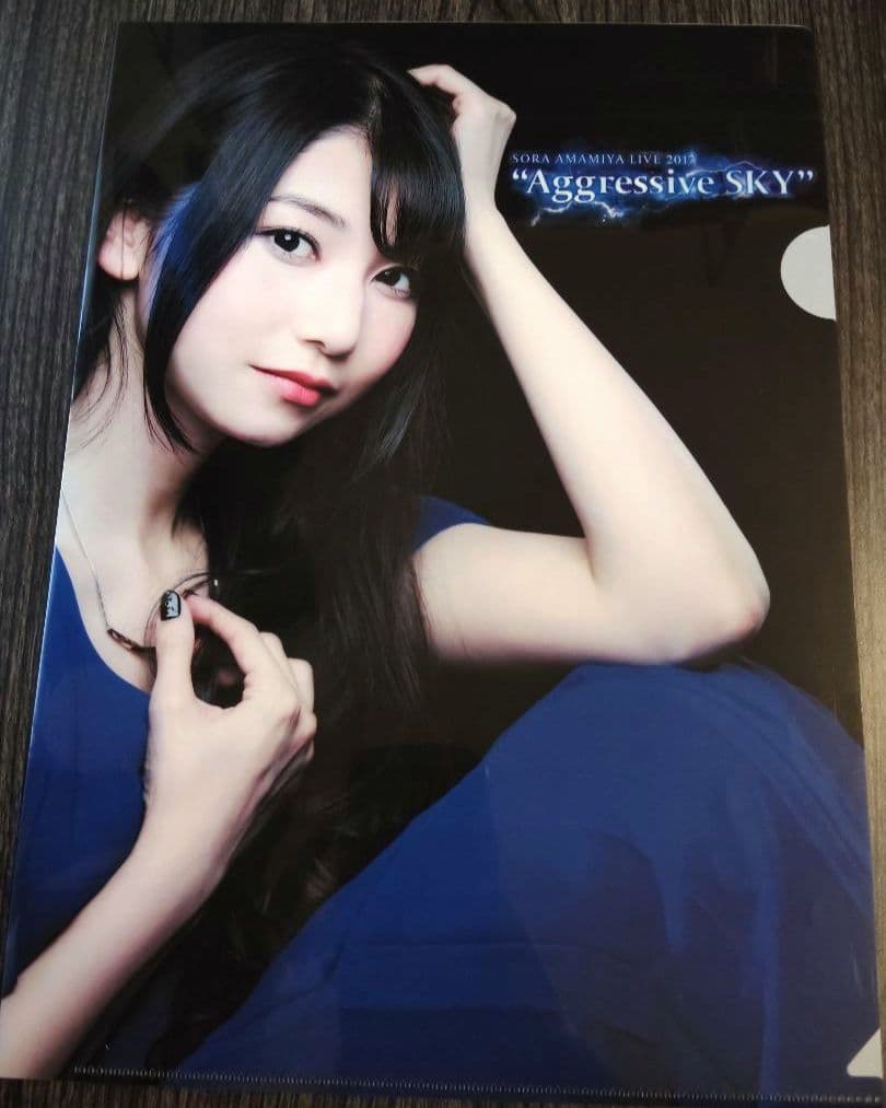 雨宮天 クリアファイル23枚セット