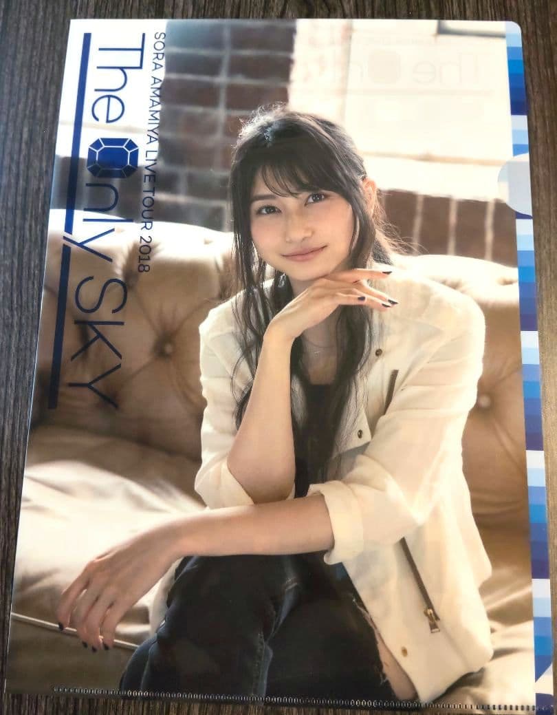 雨宮天 クリアファイル23枚セット