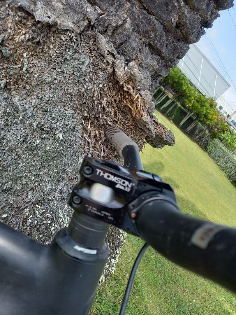 LEADER BIKES　リーダー　725　シングル　ピスト　ブラック　Mサイズ