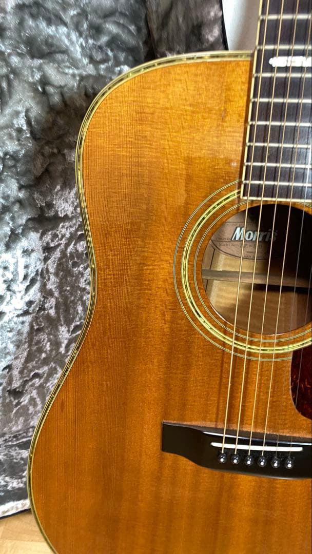 Morris アコースティックギター TF50スプルース単板ハカランダHC付