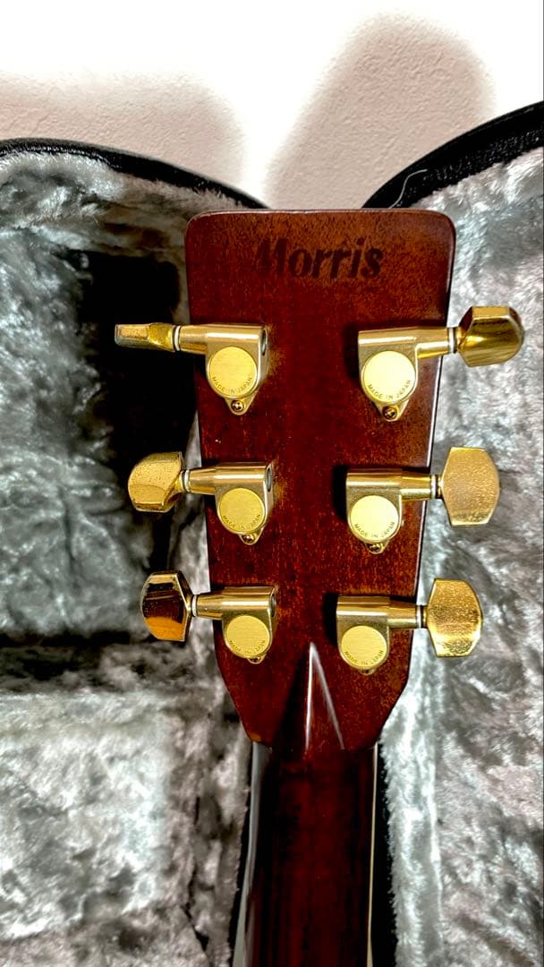 Morris アコースティックギター TF50スプルース単板ハカランダHC付