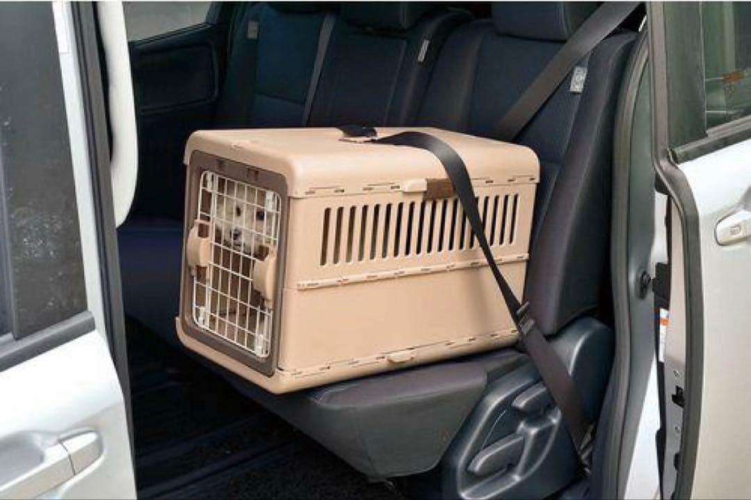 リッチェル キャンピングキャリー折り畳みM ストラップ付き