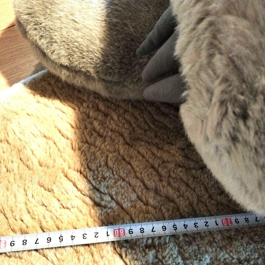 専用になります