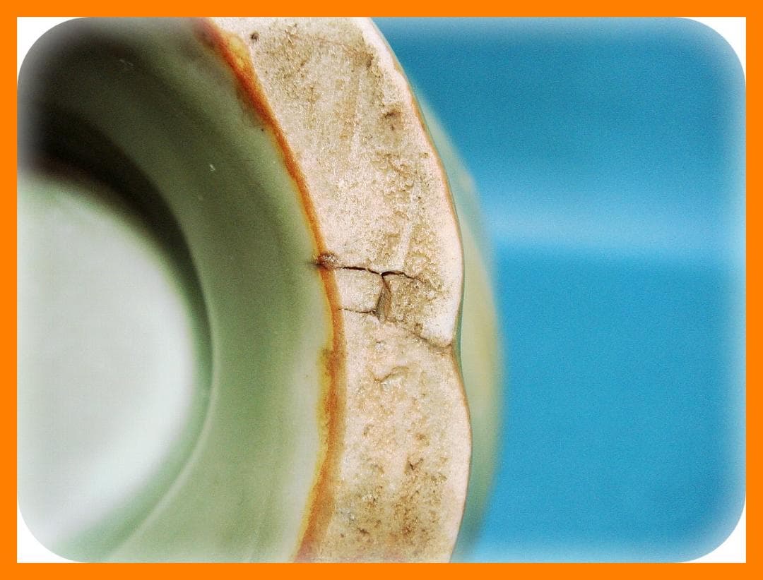 638『青磁 輪花 盃洗』　/骨董品 古美術 古道具 アンティーク