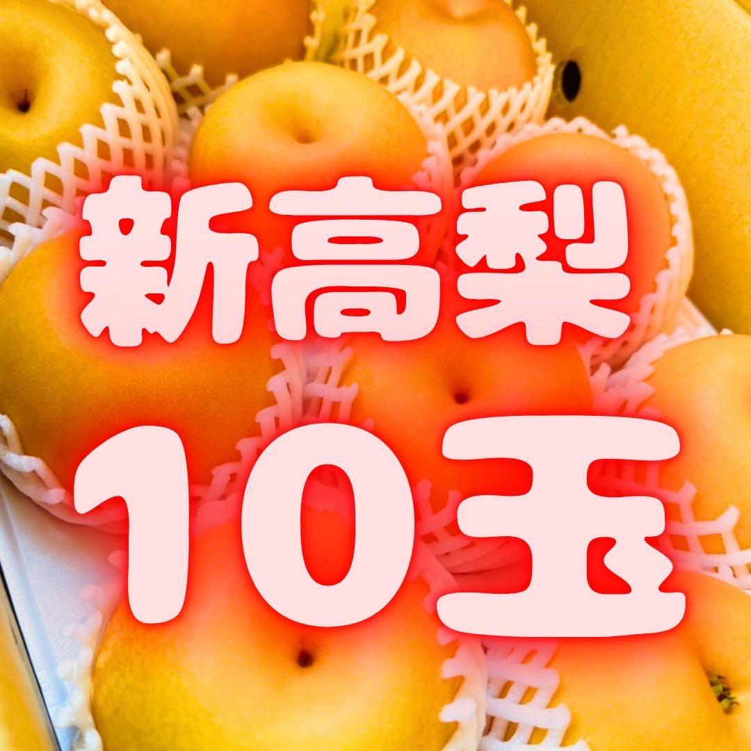 梨　新高梨　10玉　　14