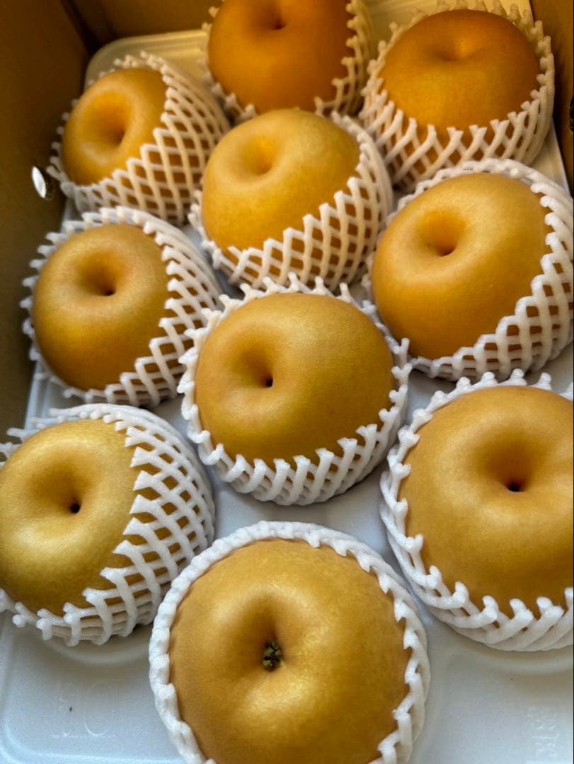 梨　新高梨　10玉　　14