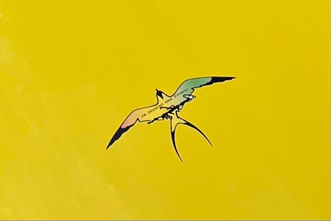 ドナルドタカヤマ　インザピンク9.3美品　フィン付き