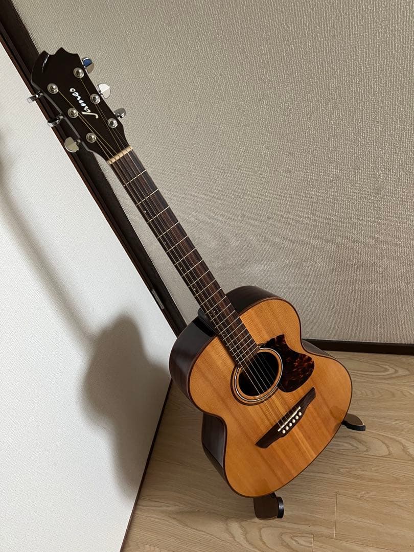 James オール単板 エレアコ　j-800a