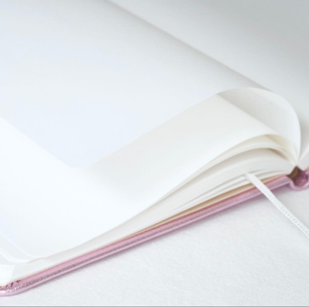 【うさうさ様】　ラデスペリテ　聖域と繋がるノート　シャンパンピーチ　ベリー　2冊