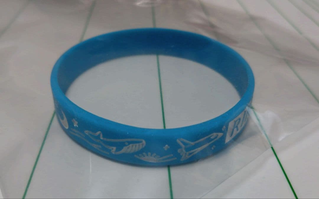 バンド　RIRIKO（NELKE）