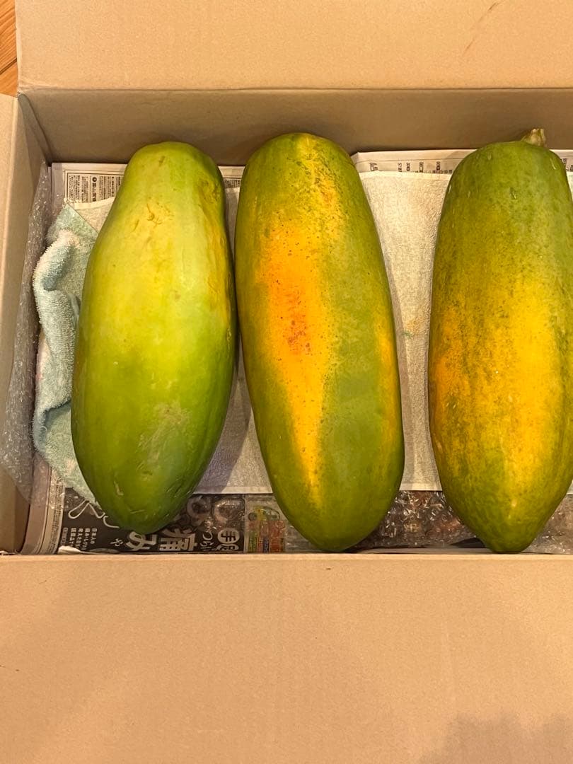沖繩産フルーツパパイヤ　9キロ〜10キロ