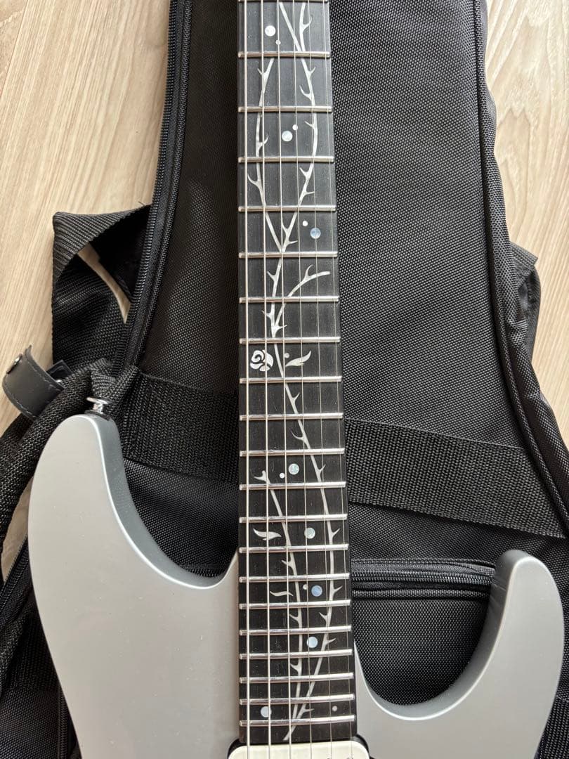 【最終値下】【ほぼ未使用】Ibanez TOD10 ソフトケース付き