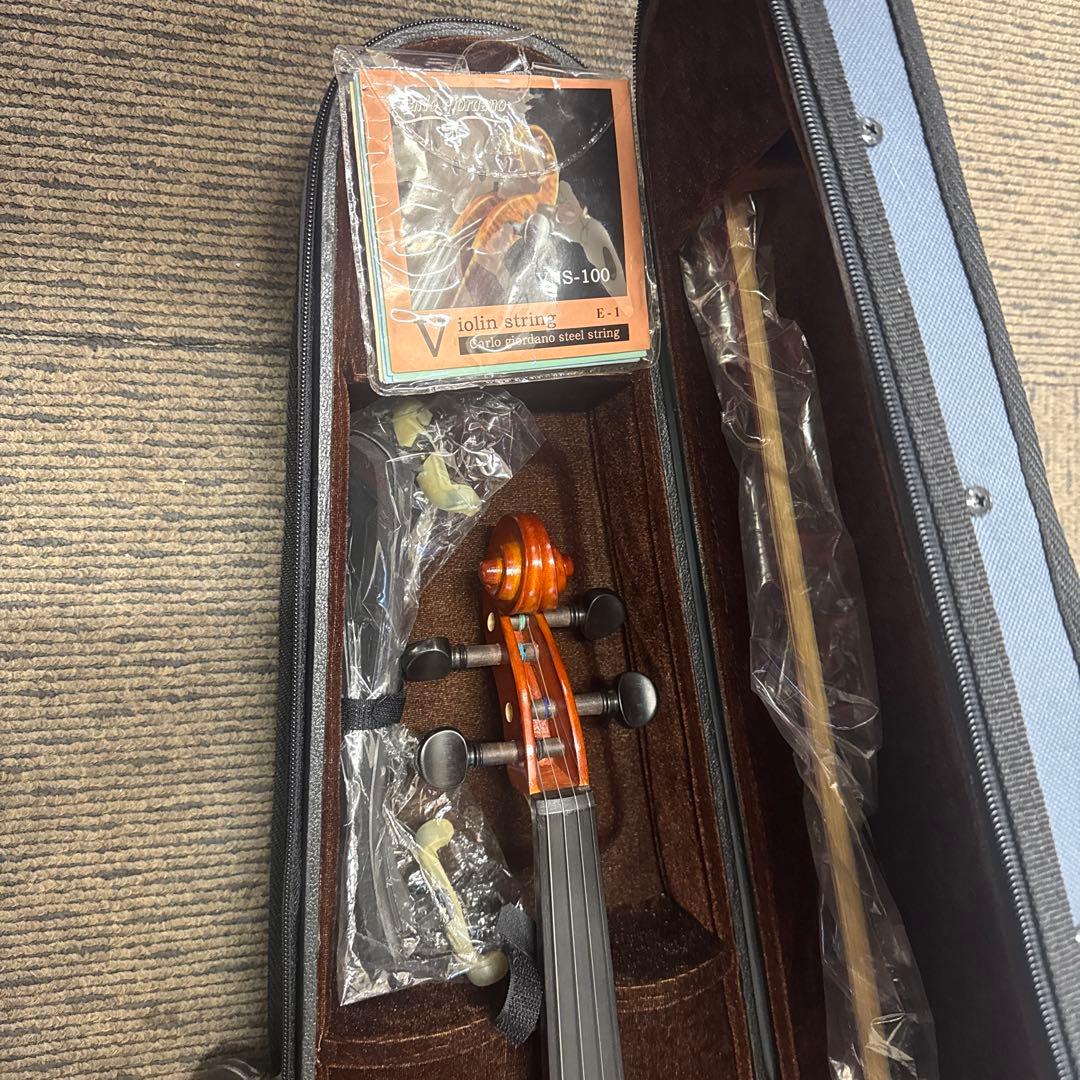 Carlo Giordano バイオリン 4/4 フルサイズ セット