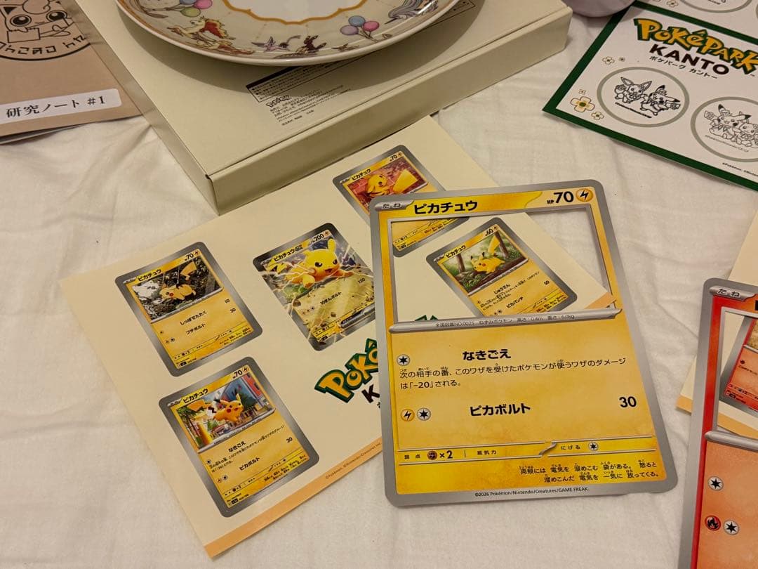 【超豪華】ポケパークカントーお土産セット