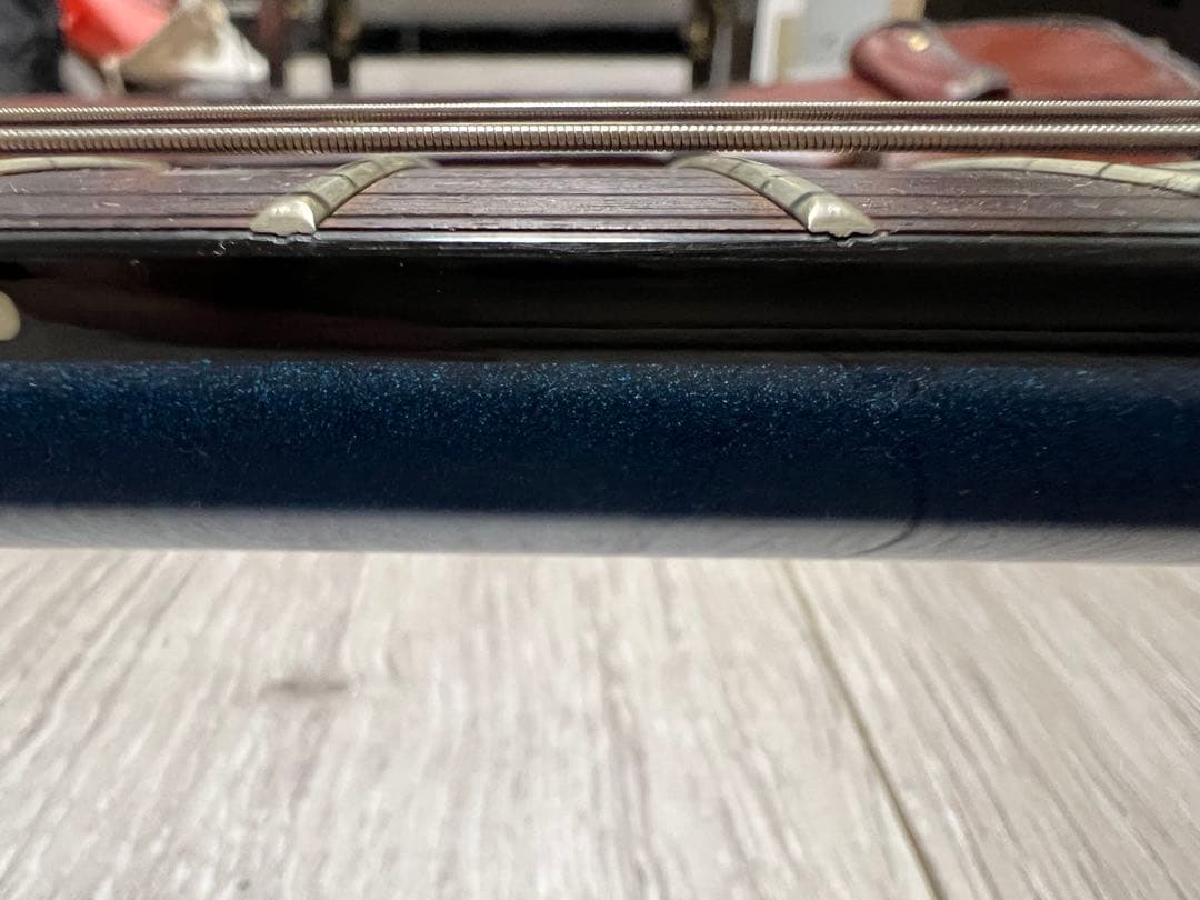 H.S.Anderson Houston（アップルギター）専用ソフトケース