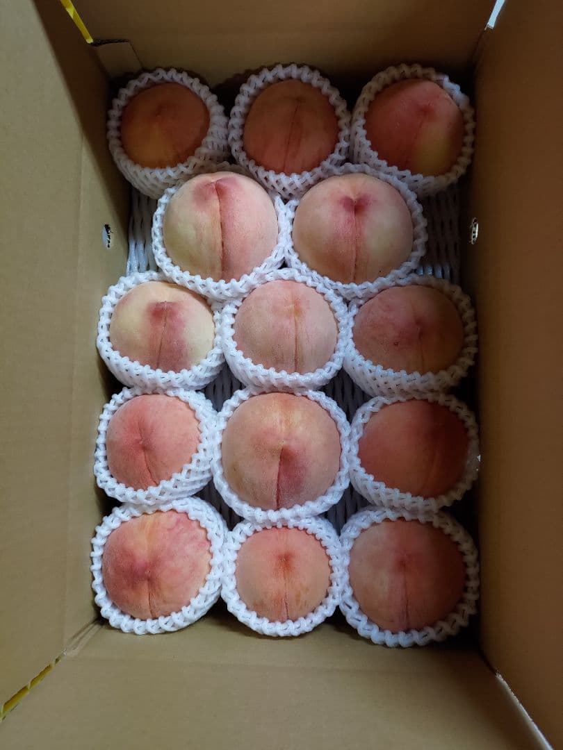 Mamamummyさん専用　来週終了　特大　桃　さくら白桃　わけあり　10kg