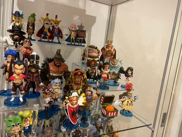 ワンピース　ワーコレ　コロシアム編