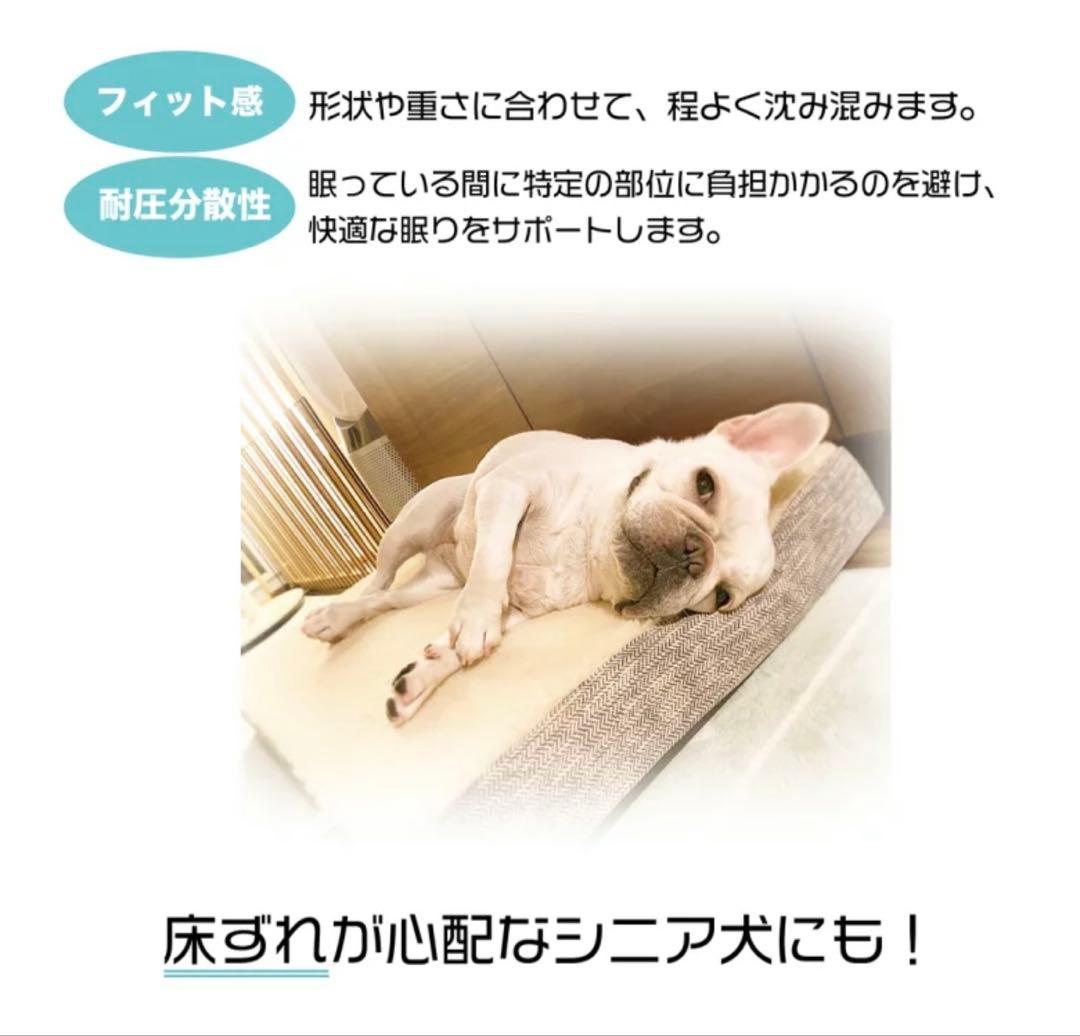 LIVE WAN メモリーマット Sサイズ