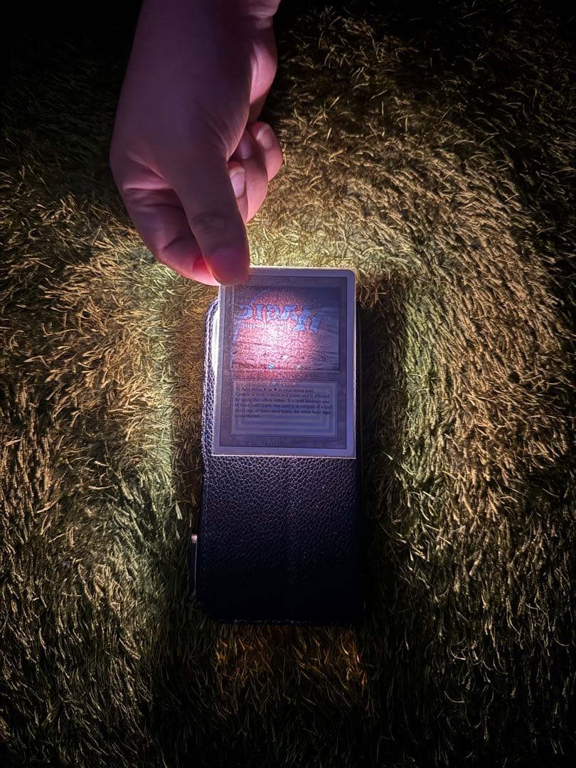 Tundra マジック：ザ・ギャザリング 土地カード