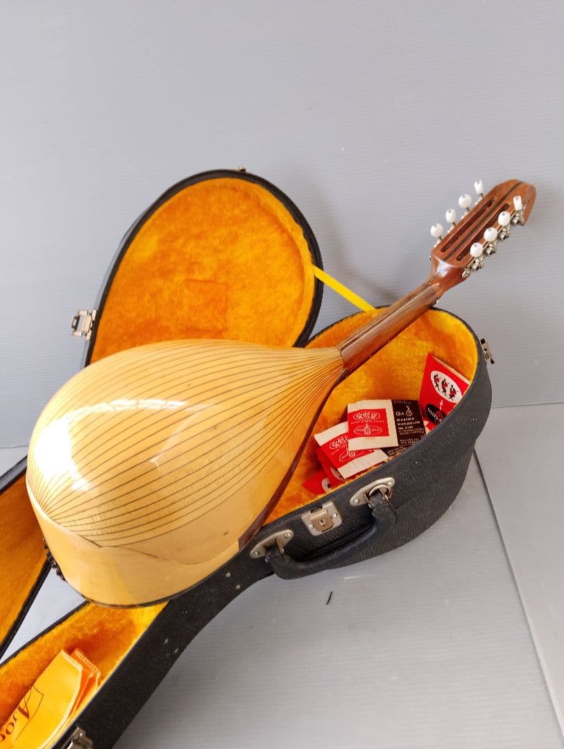 マンドリン監修者: 野口 実(あ13)